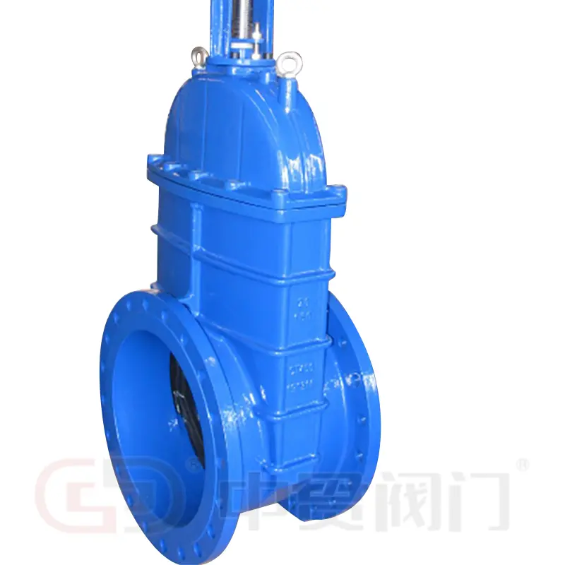 Gate Valve