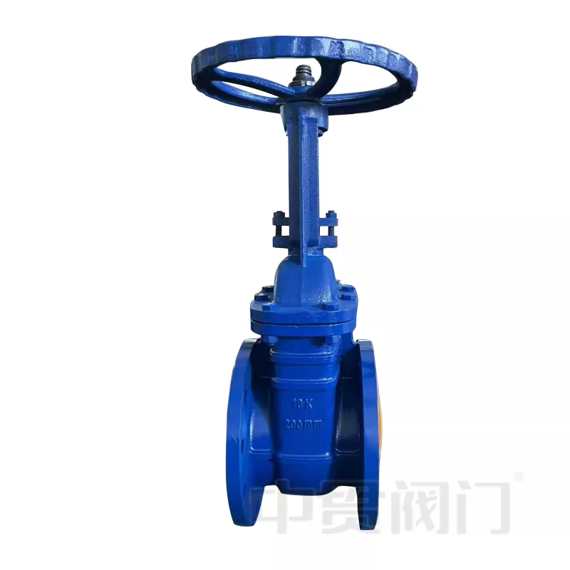 Rising Stem Design Resilient Seat Gate Valve 