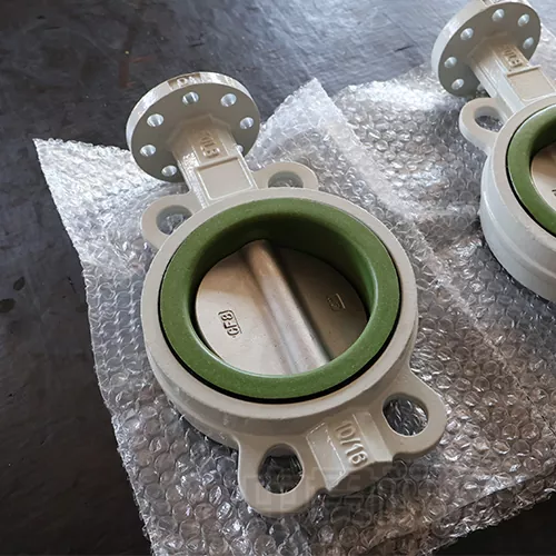 PTFE SET Butterfly Valve